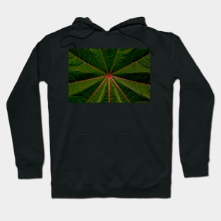 Centre of the leaf Hoodie